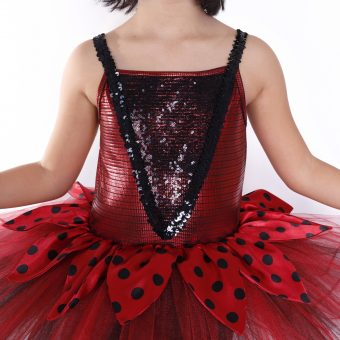 BALE ve DANS KOSTÜMÜ  KIZ - Görsel 2