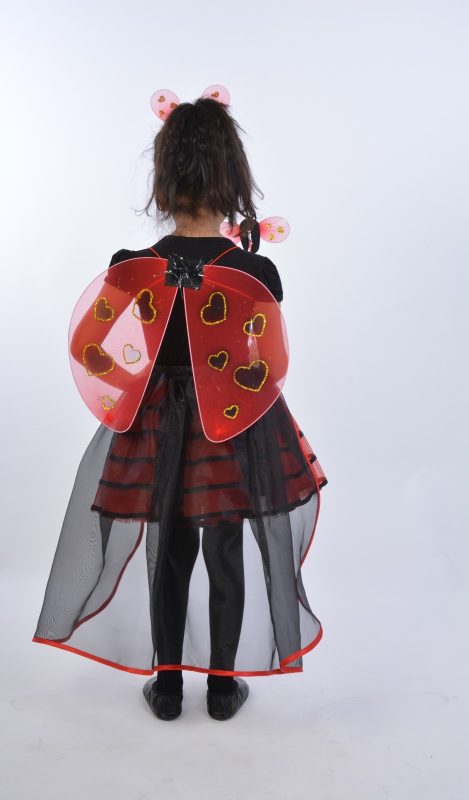 Uğur Böceği Kostümü - Görsel 3