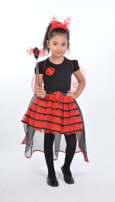 Uğur Böceği Kostümü