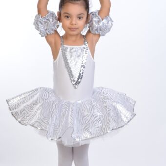 Bale Kostümü (Gri-Beyaz)